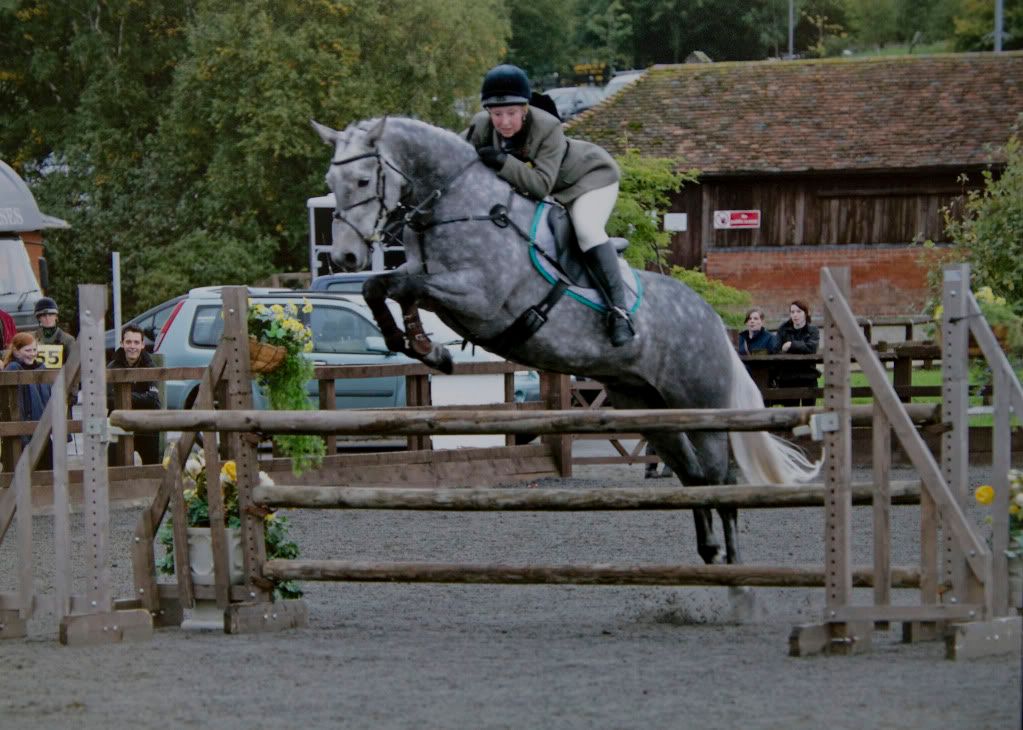 working hunter horses