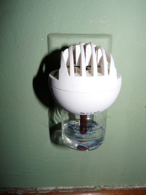infuser