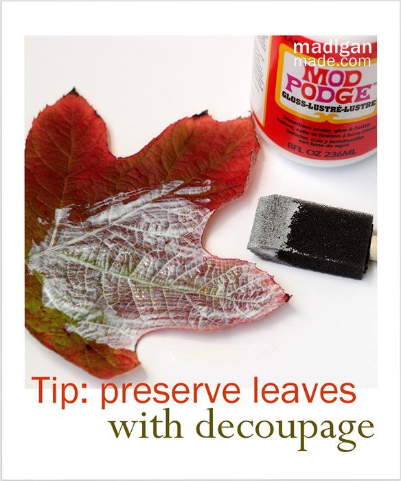 preserve your fall leaves with decoupage