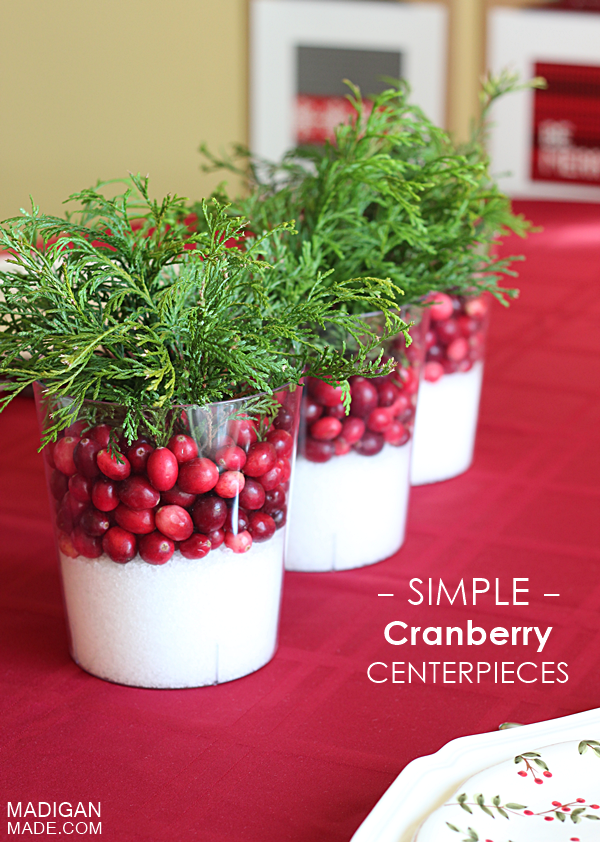 Amazingly simple cranberry centerpiece idea. These would be perfect for fall or wintertime.
