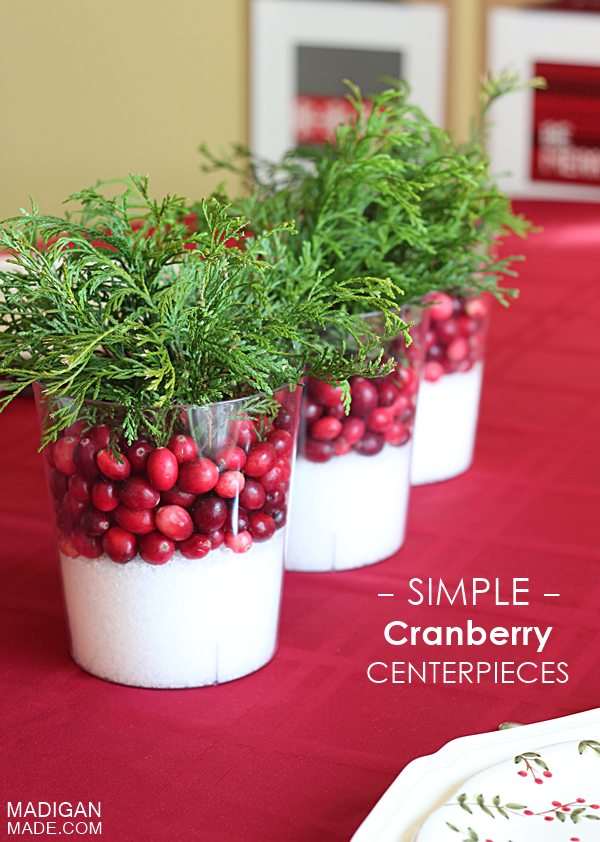 Easy Cranberry Centerpiece Idea ~ Madigan Made { simple DIY ideas