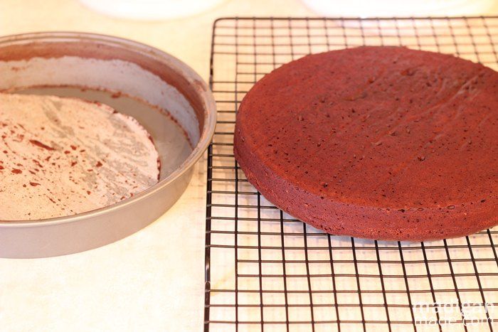 Recipe for Easy Chocolate and Peppermint Cake