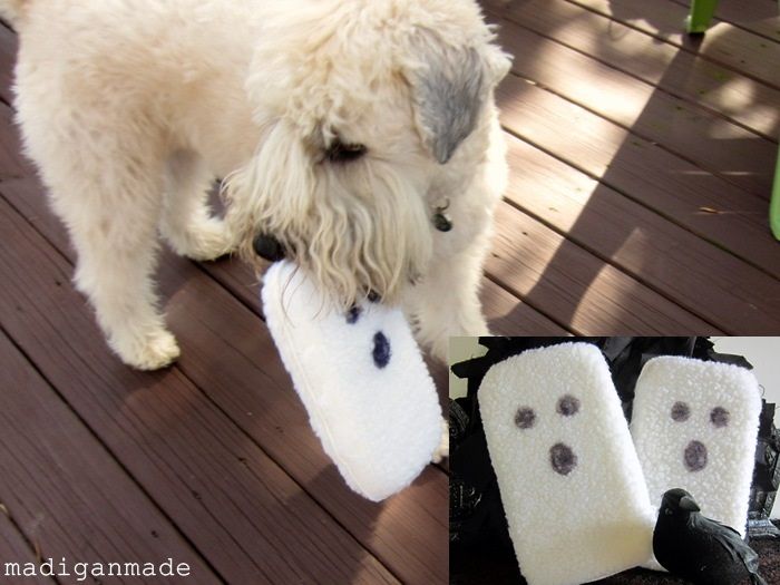 car wash sponge craft into dog toy