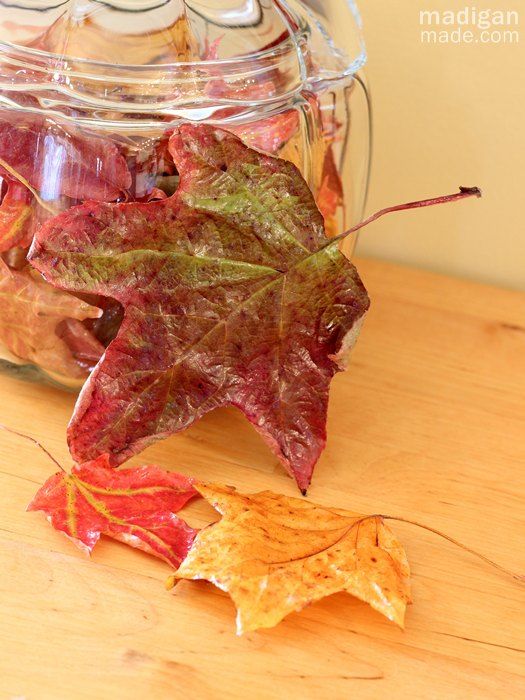 How to Preserve Fall Leaves