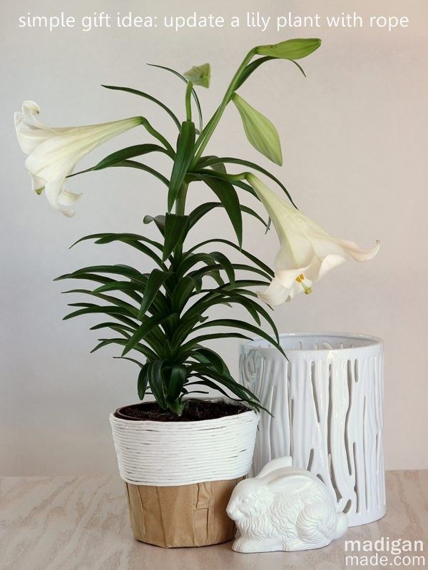 simple gift idea and craft: wrap a lily plant container with rope