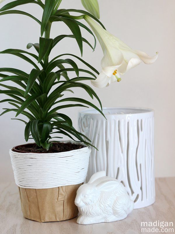 Simple gift idea: rope covered potted lily plant