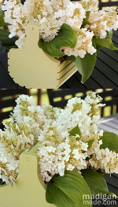 simple hydrangea bouquet