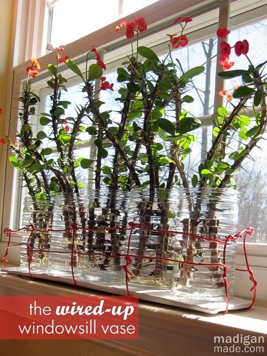 wire clay tray for vases wired and clay tray for vases on windowsill