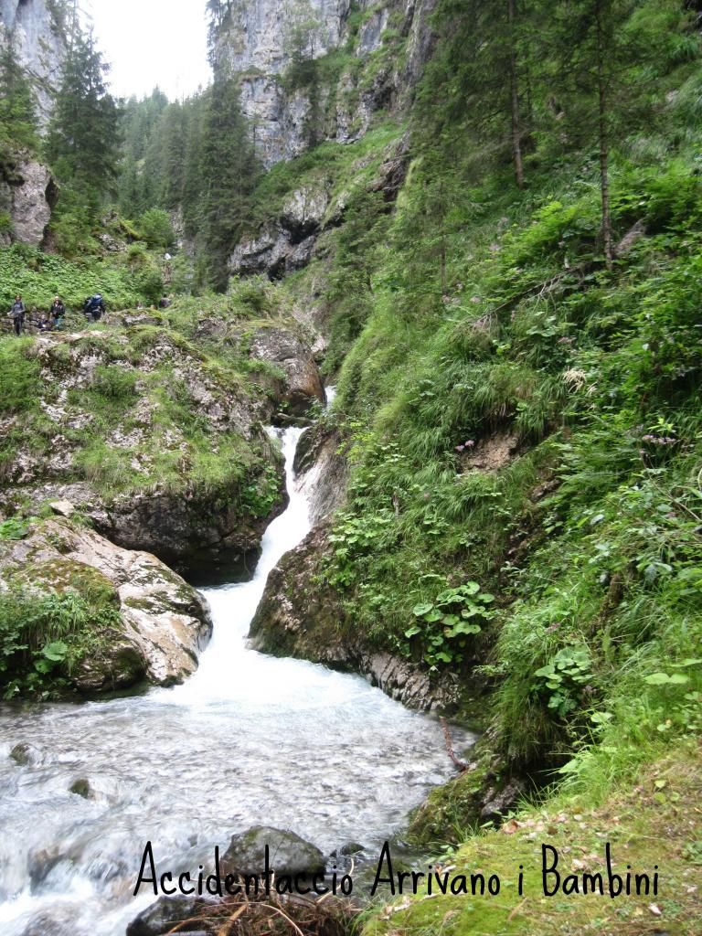 Fiume Pettorina