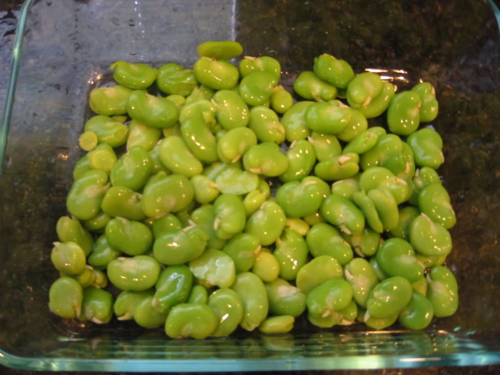 Shelled Fava Beans
