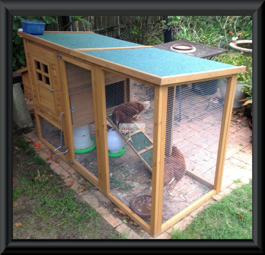 Large Chicken Coops and Runs