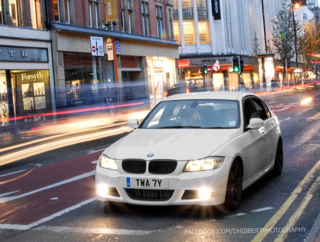 [http://i981.photobucket.com/albums/ae295/Dogismo/Dogismo%203/DSH_1281_zps33a4bba7.jpg~original]