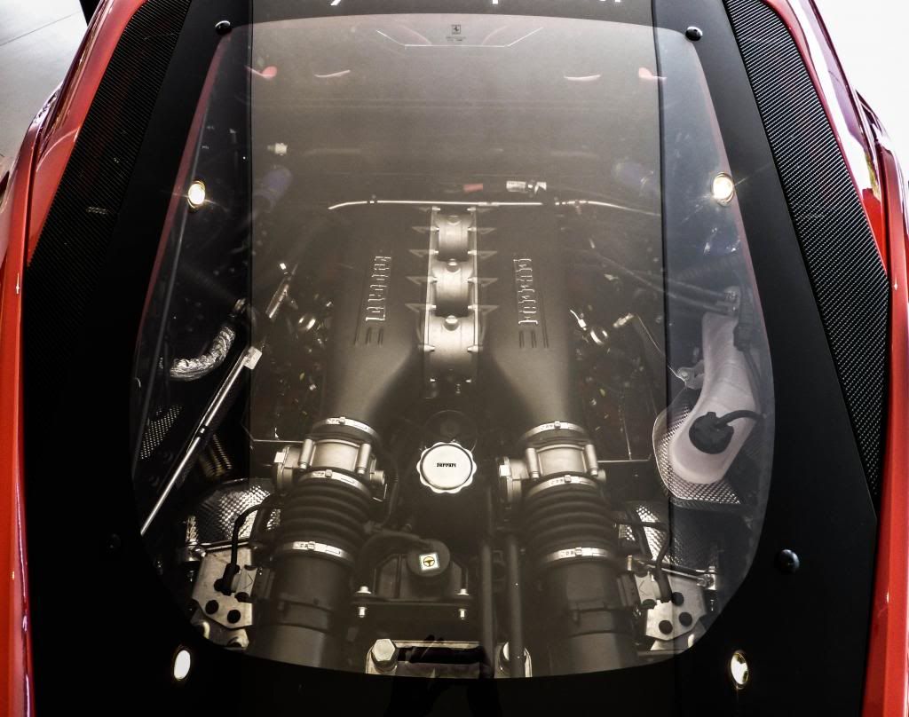 [http://i981.photobucket.com/albums/ae295/Dogismo/Dogismo%203/P1060091_zps17f73e26.jpg]