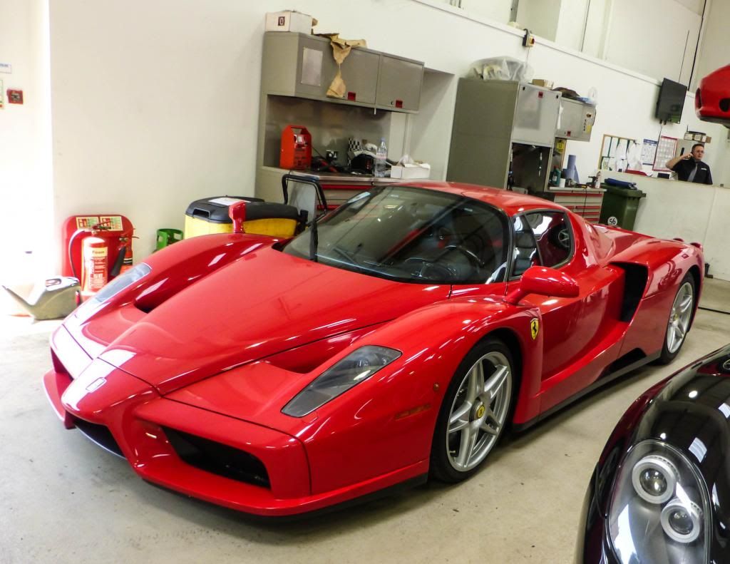 [http://i981.photobucket.com/albums/ae295/Dogismo/Dogismo%203/P1060131_zps5ab71563.jpg]