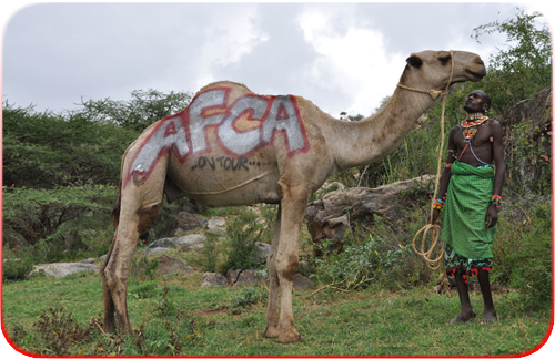 africanscouter.png
