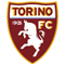 torino60.png