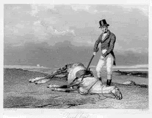 beating a dead horse photo: beating a dead horse beatingadeadhorse_zps8961270c.gif