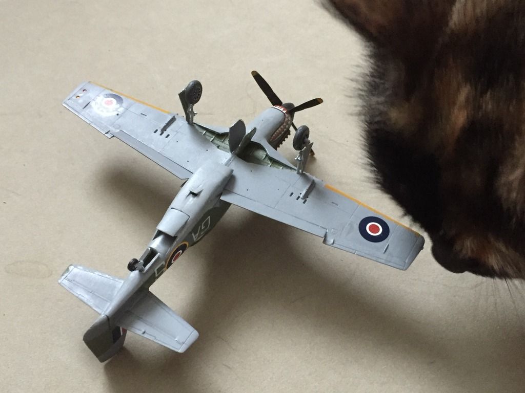 7EF985F2-765D-4A5E-86D5-64D0F0972AC7_zps