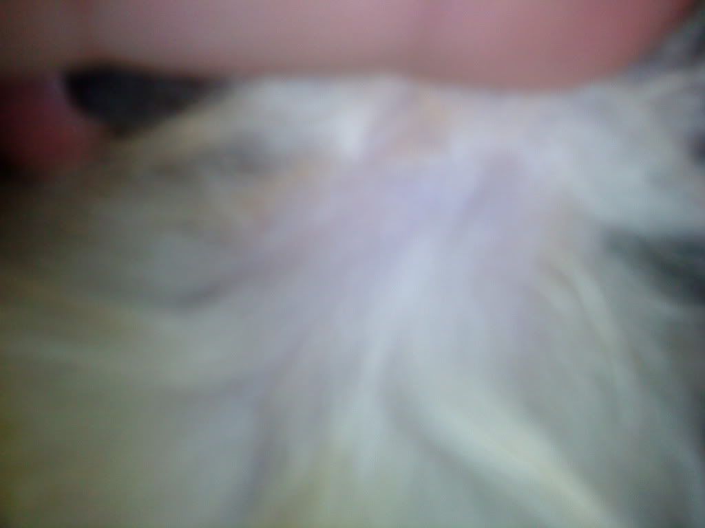 Billede
