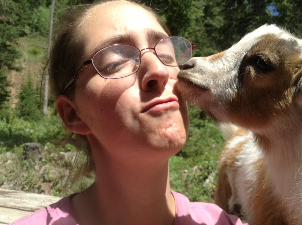 Camping with Baby Goats and People Kids - Goats