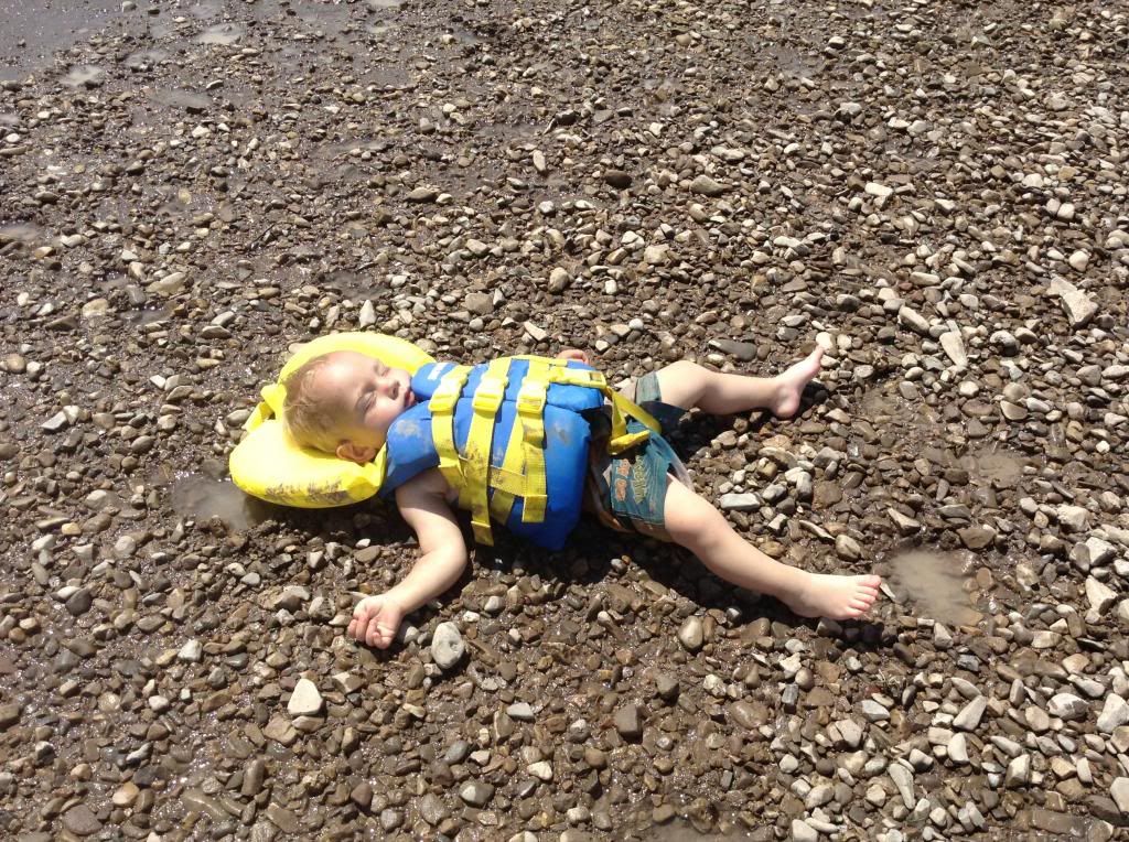 This is just for Sensible - Goats