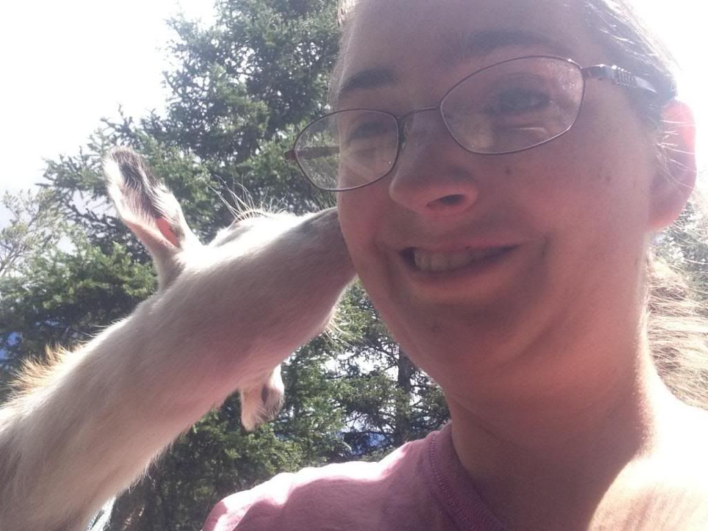 Camping with Baby Goats and People Kids - Goats