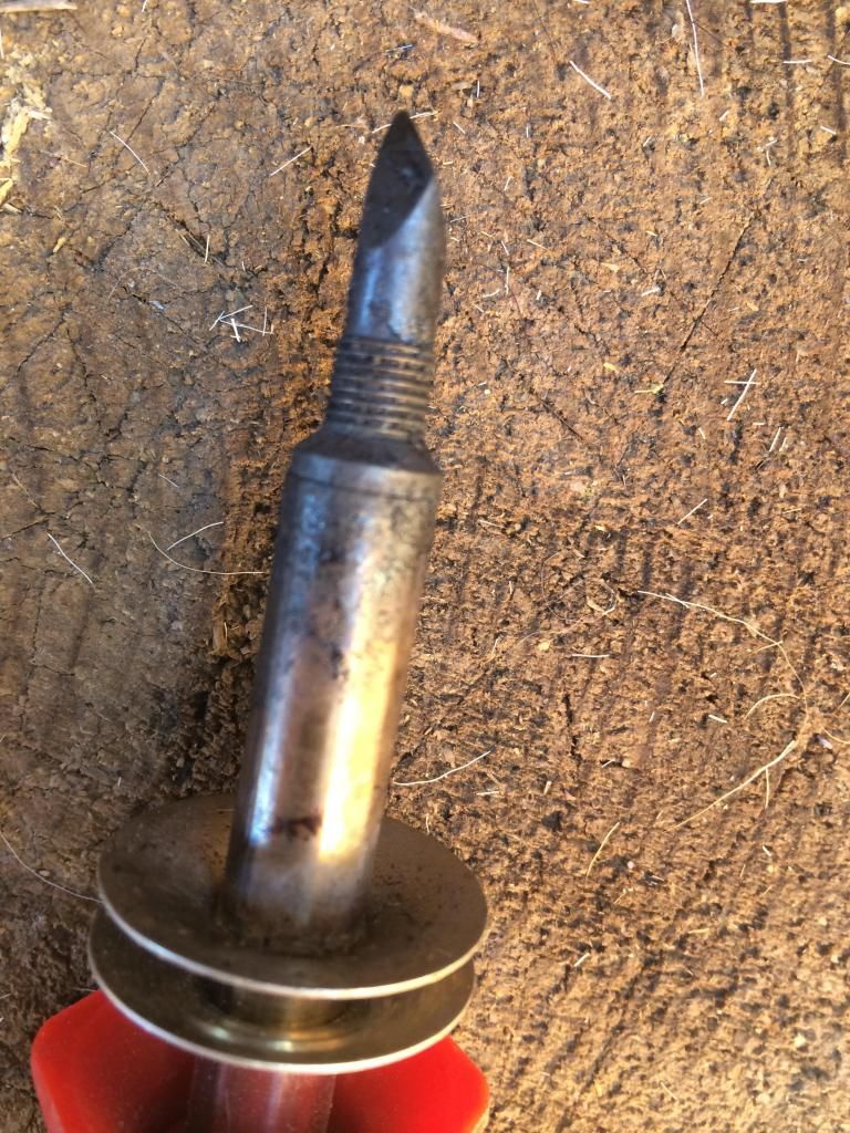 Banding horns photo tutorial Homesteading Forum