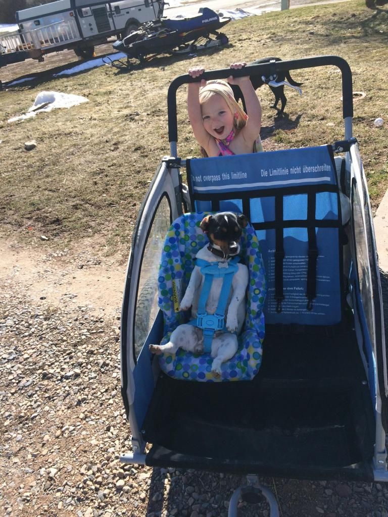 This is just for Sensible - Goats