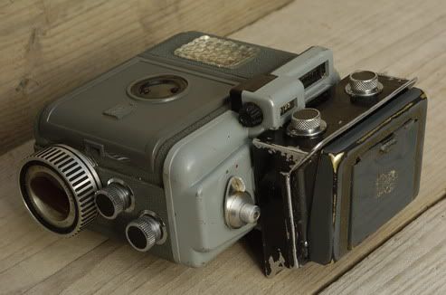 _DSC7332_resize.jpg