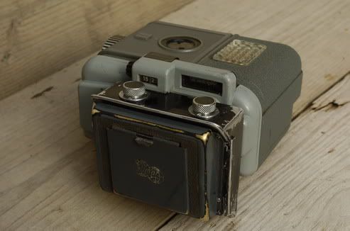 _DSC7333_resize.jpg