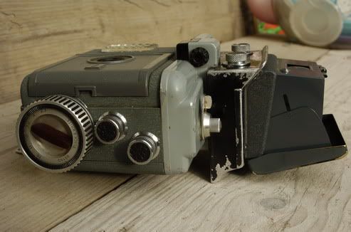 _DSC7338_resize.jpg