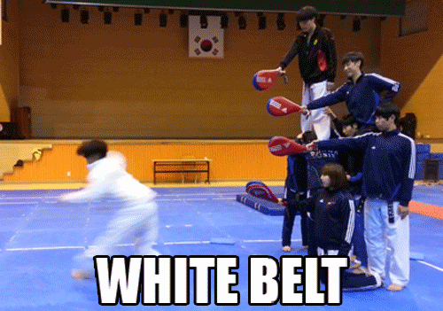 photo 92879-1.gif