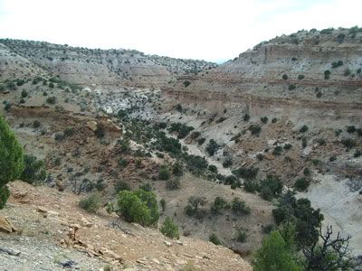 bye cat canyon
