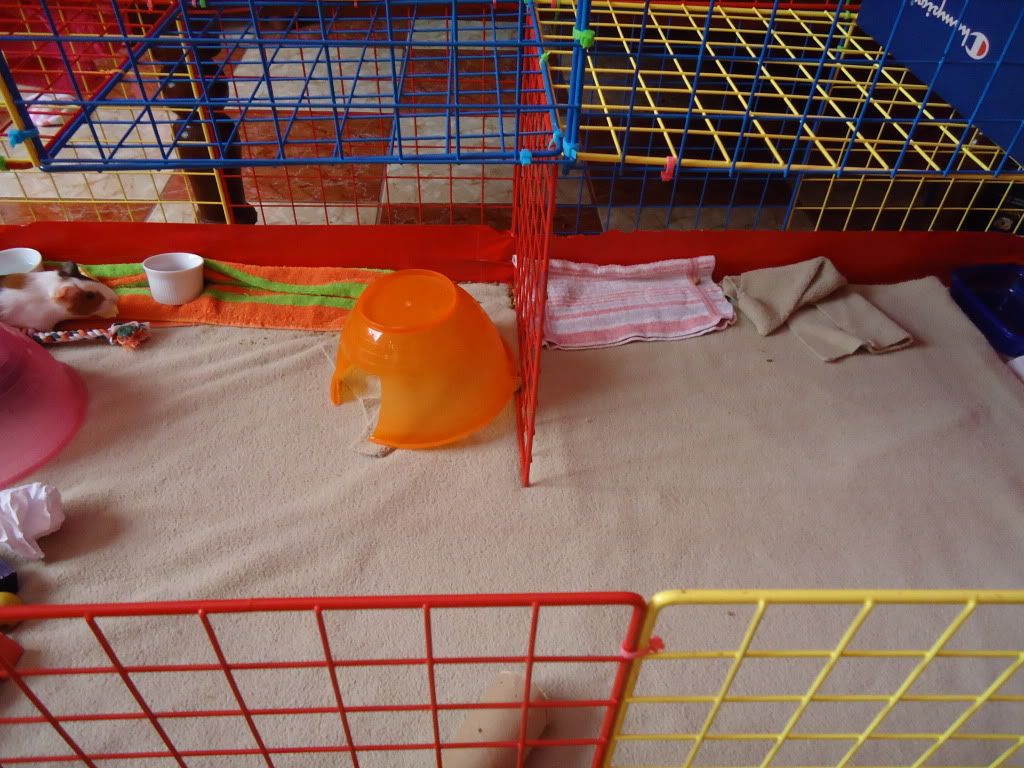 DSC00459.jpg