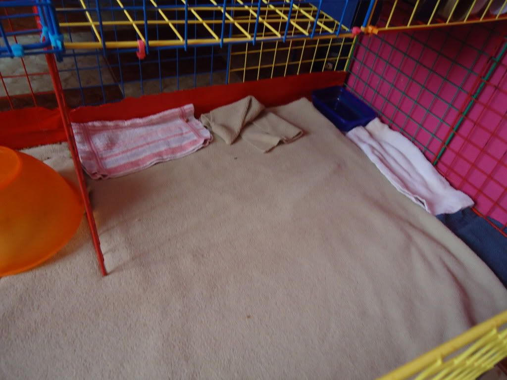 DSC00462.jpg