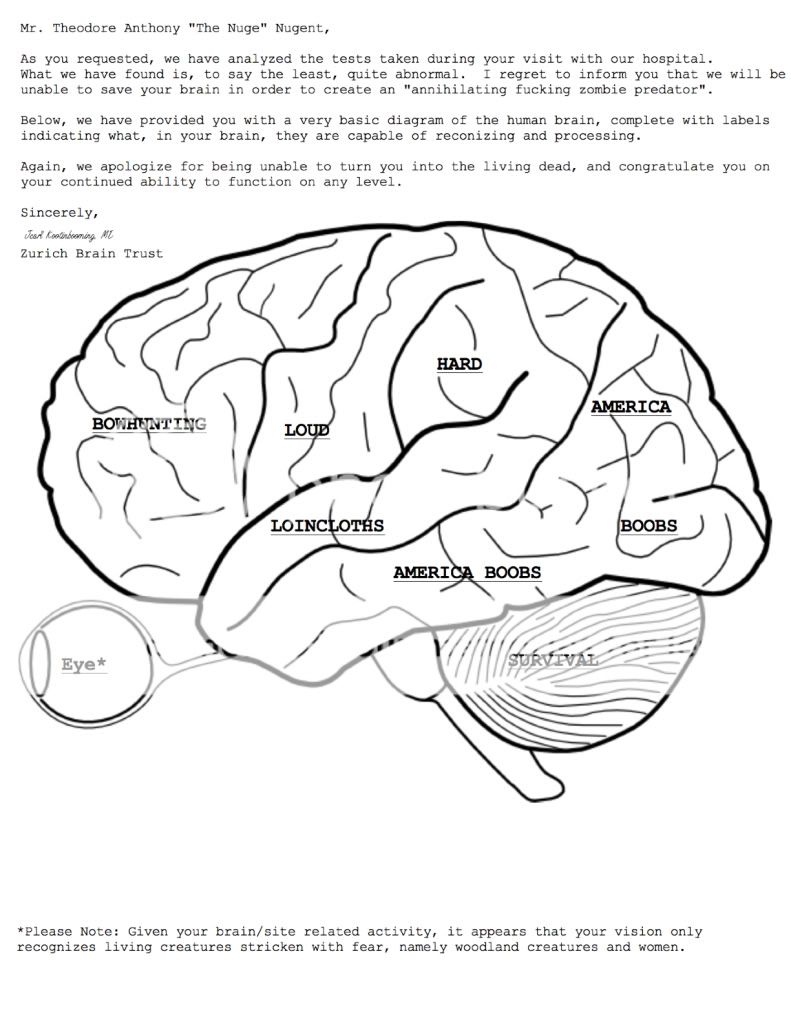Brain Diagram Coloring Page Sketch Coloring Page
